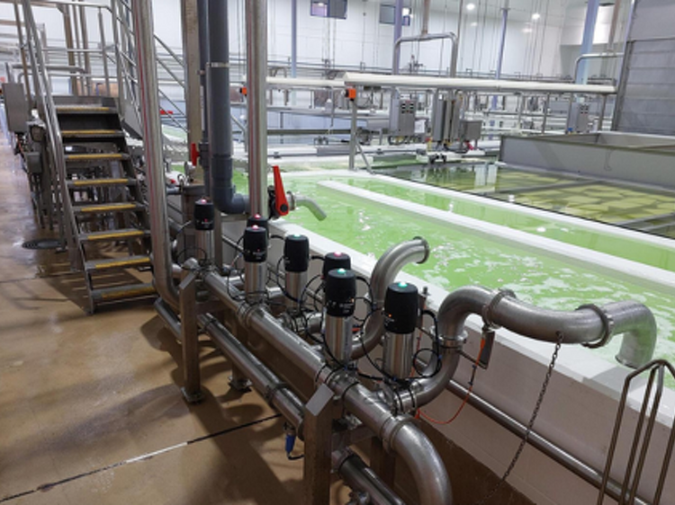 Pumps and valves alongside a processing vat filled with green liquid